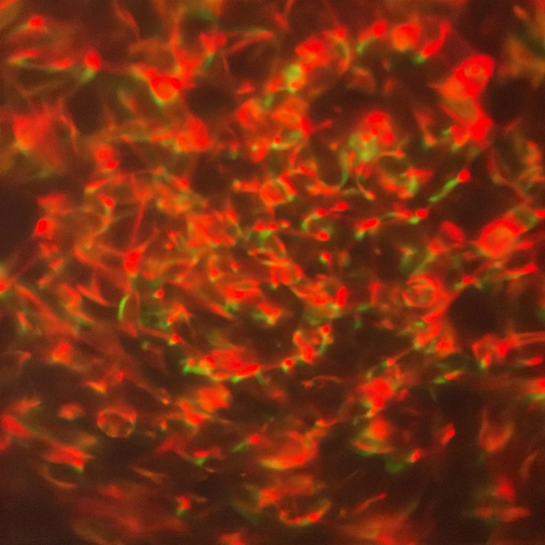 Led lampa 💡  - 91