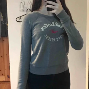  - Grå tröja från hollister med broderi på framsidan Säljer då den ej används, frakt ingår i priset 