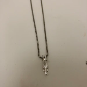 Jättefint katt halsband - Jättefint aldrig använt katthalsband i silver