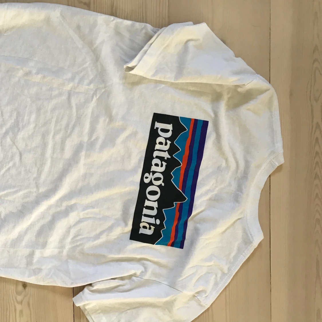 Patagonia logo t-shirt