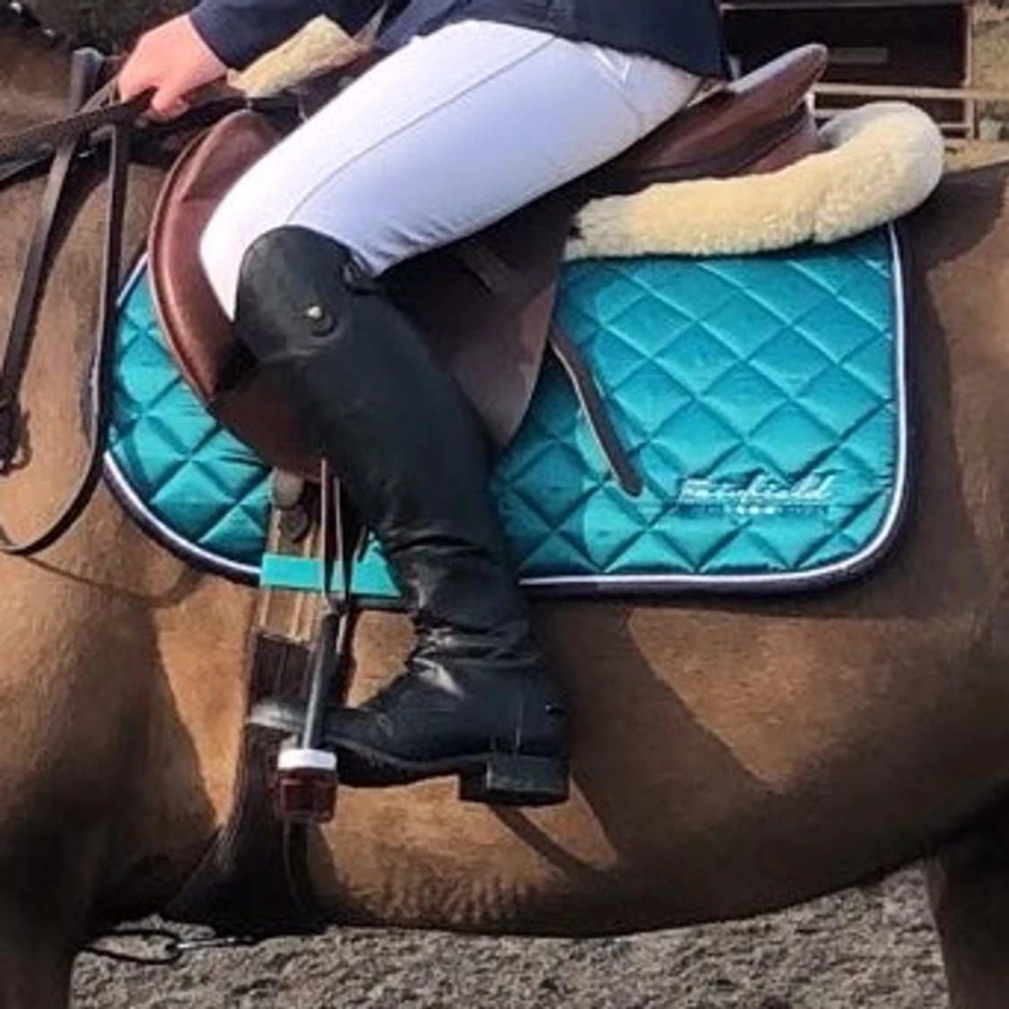 Till den hästintresserade