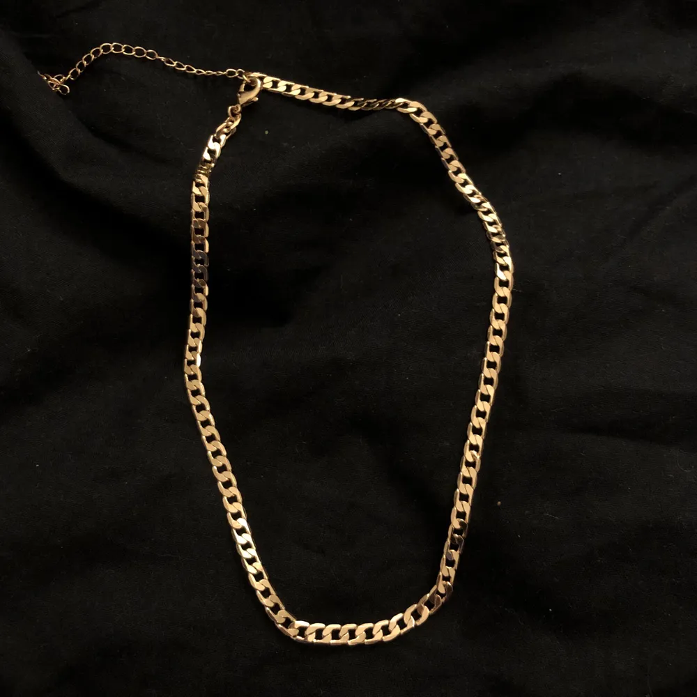 Jättefint guldigt halsband från H&M, aldrig fått användning för det därav nyskick. . Accessoarer.