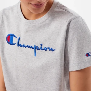 Champion t-shirt - Grå champion t-shirt! Köpare står för frakt🤎