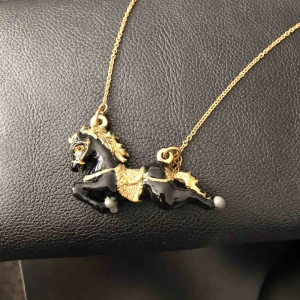  - Superfint halsband med lång kedja