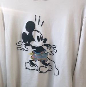 Musse pig tröja - Köpt från zara I storlek L , aldrig använt