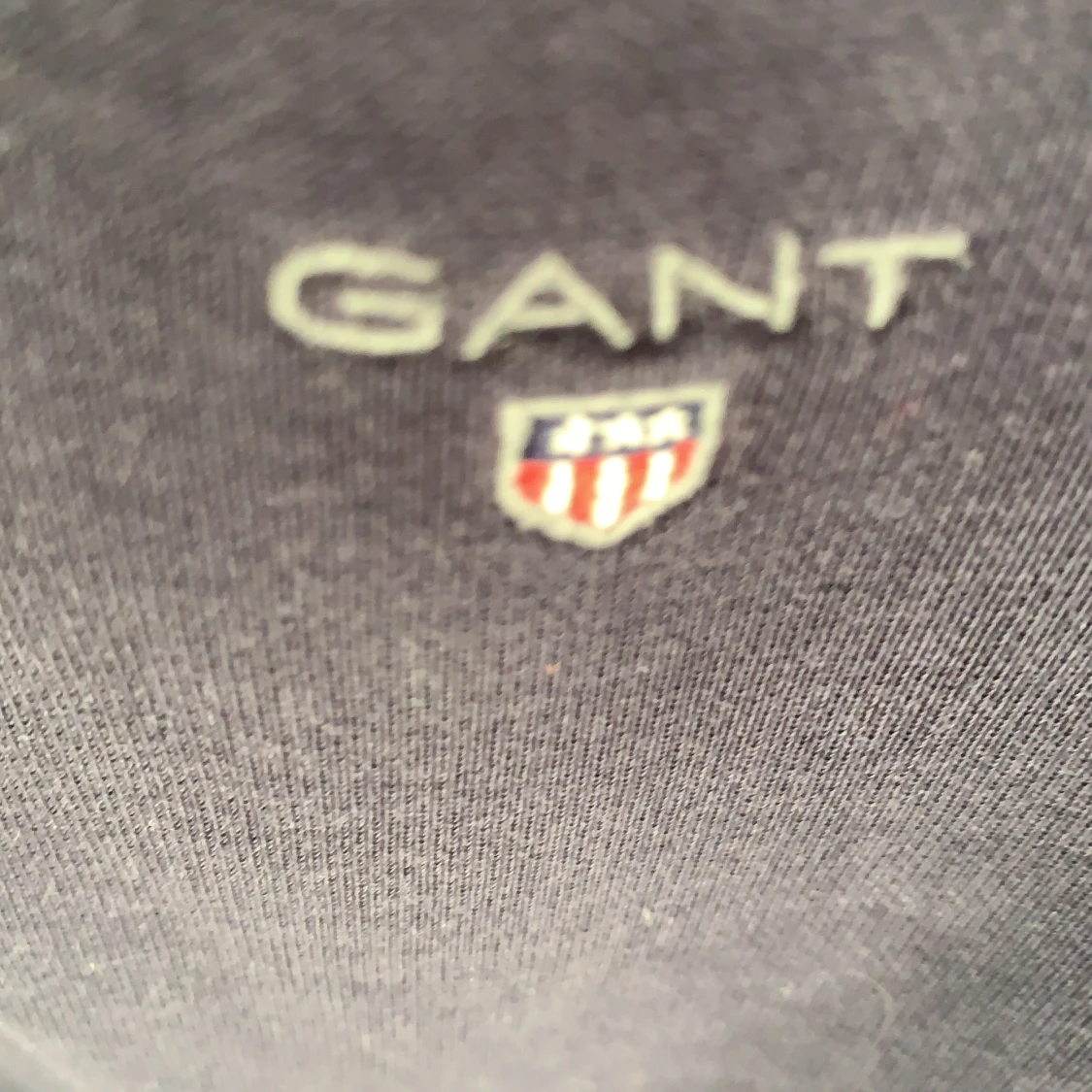 Blå hoodie, Gant - 91