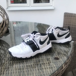 Nike basket shoes - Mina gammla basket skor köpt för 600 kr, säljer dom för runt 100 om inte buddninhar blir högre, shit snygga gillar dom verkligen, lite smutsiga men går att tvätta. Köpare står för egen frakt