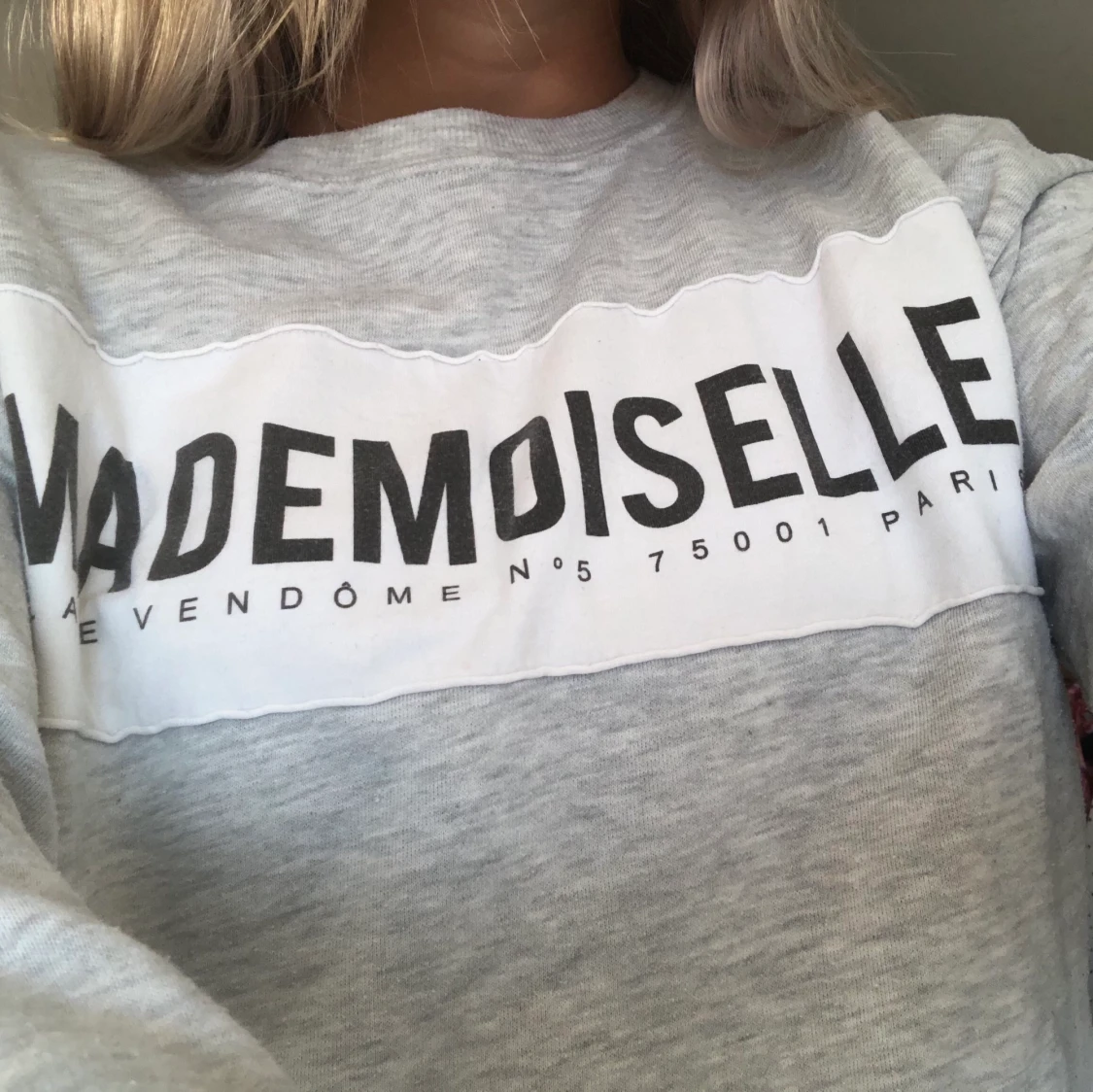 Ljusgrå Sweatshirt - 91