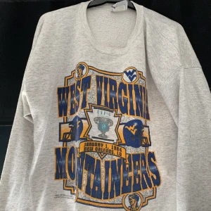 Vintage sweatshirt - Köpte den här på plick, men blinda jag missade att den va cropped! Den är ganska nopprig, men fortfarande snygg. Köpare står för frakt 63 spårbart annars billigare alternativ, budgivning om fler intresserade 🌸