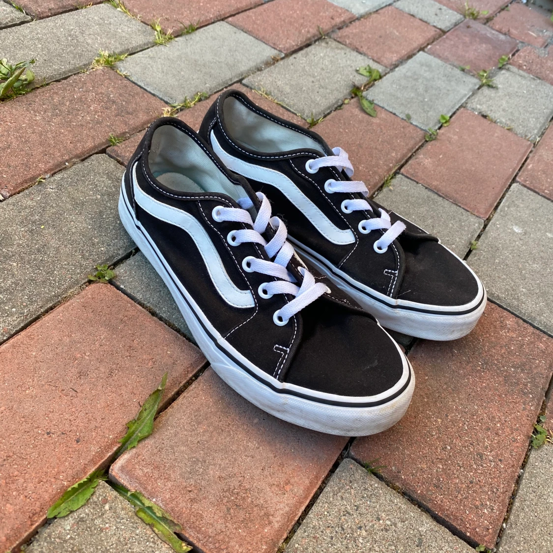 Vans