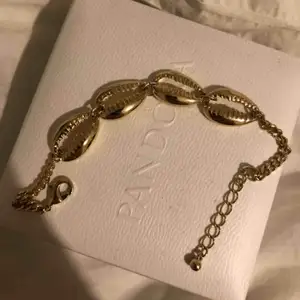 Jättefint ”Shell” guldigt armband, köpt från NA-KD i nyskick:))