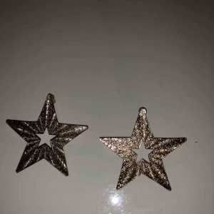  - Örhängen från H&m. Använt en gång