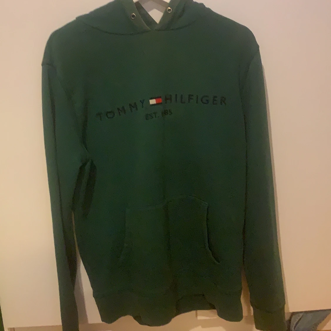 tommy hilfiger hoodie
