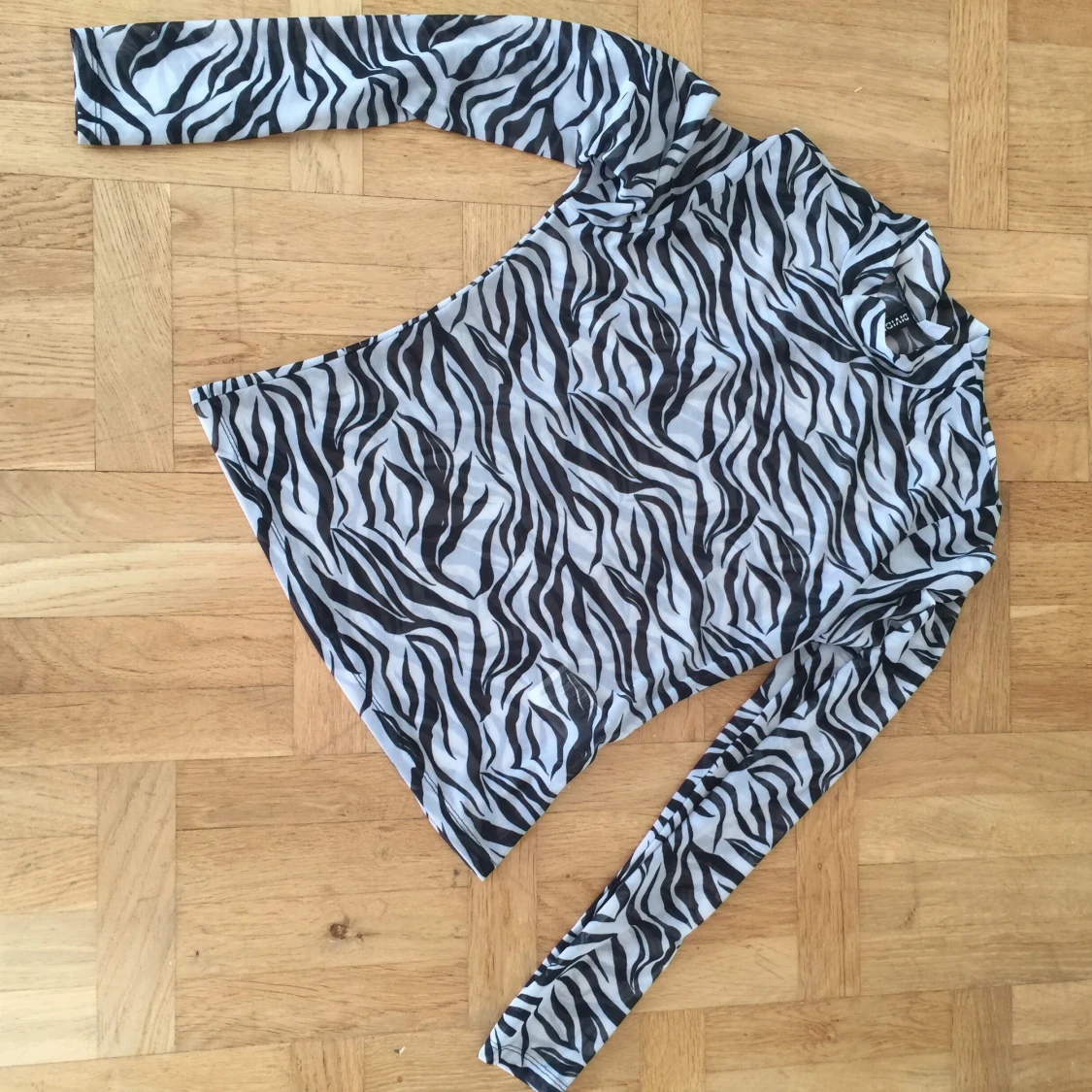 Transparent zebratopp