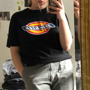  - svart dickies t-shirt. är typ helt oanvänd. denhär tshirten är sååå skön och har riiktigt najs fit och passar till allt
