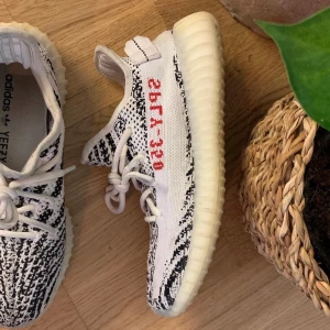 YEEZY 350 V2 Zebra US 5 - Sparsamt använda 
