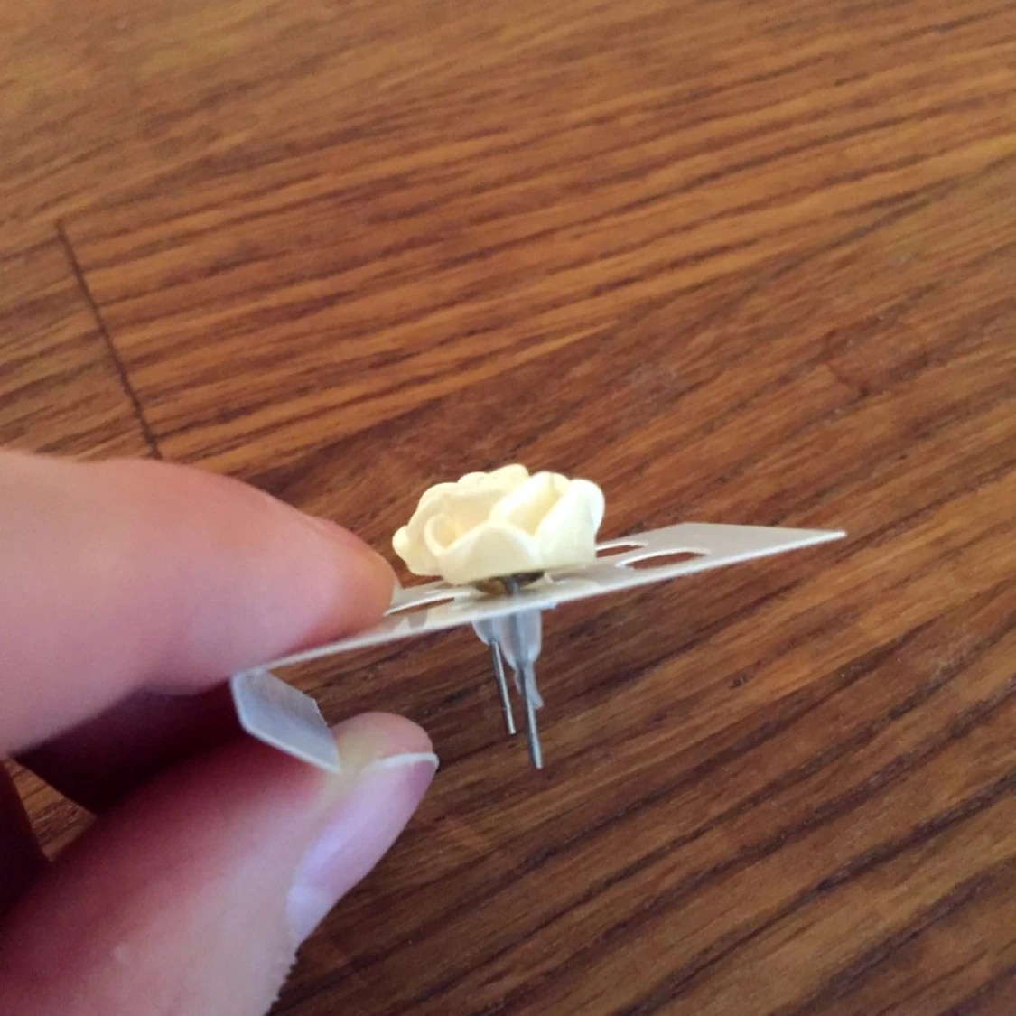 Örhängen  - 1461601902