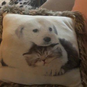 Liten gullig kudde! - Liten kudde men jättesöt katt och hundvalp 😍. Hel utan defekter ❣️💕🤩