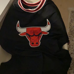 NBA bulls tröja - En skit cool tröja som jag har köpt för 600. Har använd 2 gånger jätte bra skick den är en storlek M 