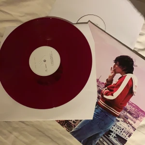 Vinylskivor  - Håkan Hellström vinyler från albumet 2 steg från paradiset!! Har aldrig använts så är i väldigt fint skick🌸köparen står för frakt🌸