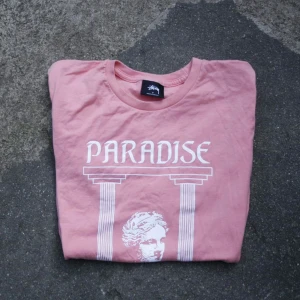  - Laxrosa tshirt från Stussy, fint skick. Frakt 36kr 