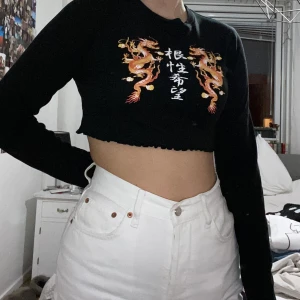 Långärmad med draktryck! - Långärmad croppad tröja med draktryck från Urban Outfitters. Köptes förra året och har använts sparsamt. 