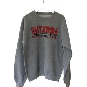 Grå vintage sweater  - Grå vintage sweater med rött tryck! Bud från 500, bin 650 