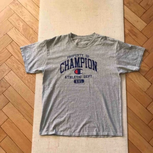  - Vintage Champion oversized grey T-shirt. I am a size 36. Pick up on Söder or shipping extra :) Also very easy to cut this into a crop top! 