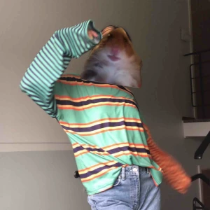  - ASBALL longsleve från the ragged priest köpt i vintras, använd väldigt få gånger 💓 tyget är tunnt och riktigt mjukt och behagligt, några få lösa trådar innuti men det ser mer ut som maskinfel då det är identiskt fel på andra sidan😊