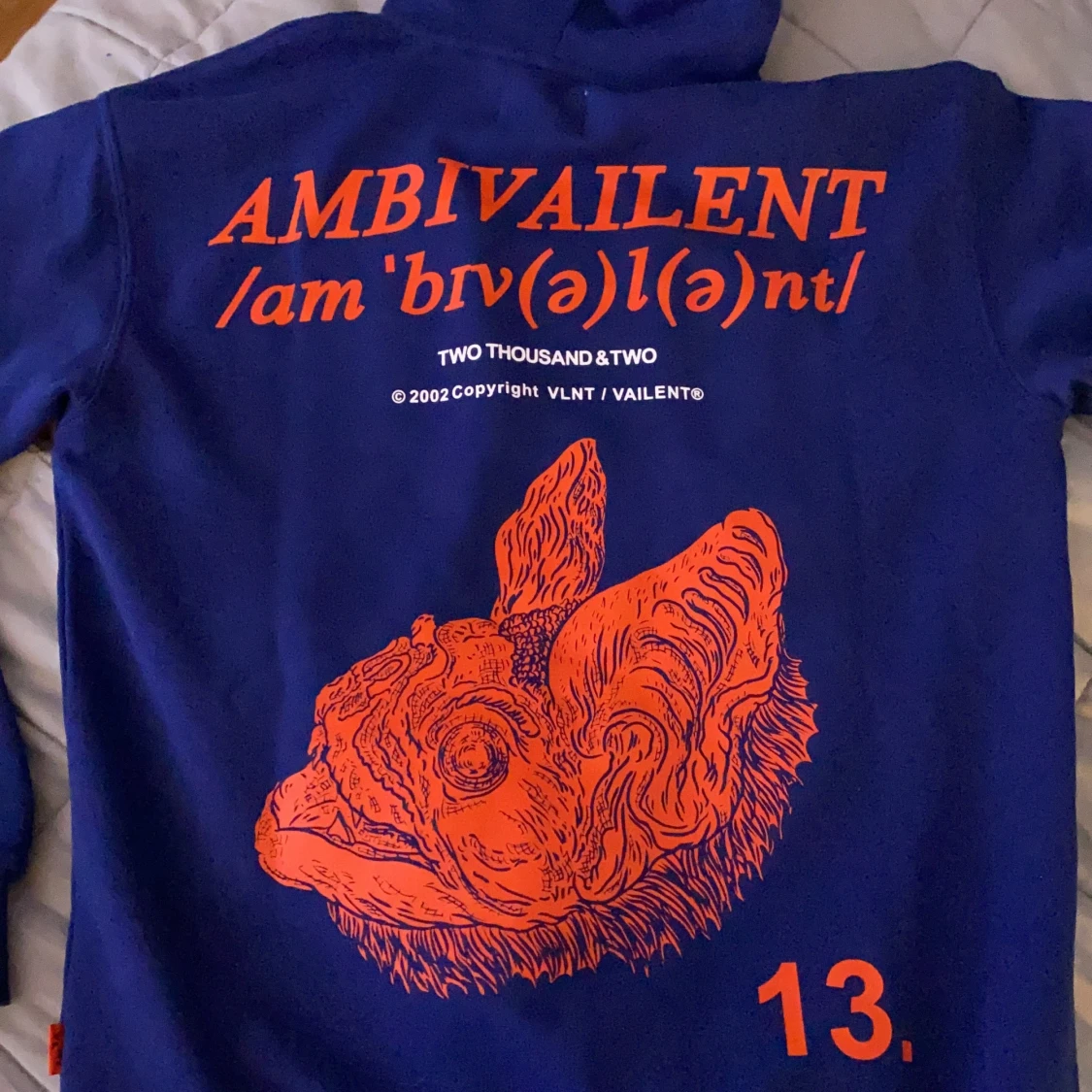 Skitsnygg hoodie med tryck!! Bra kvalite och använd 1 gång - 90