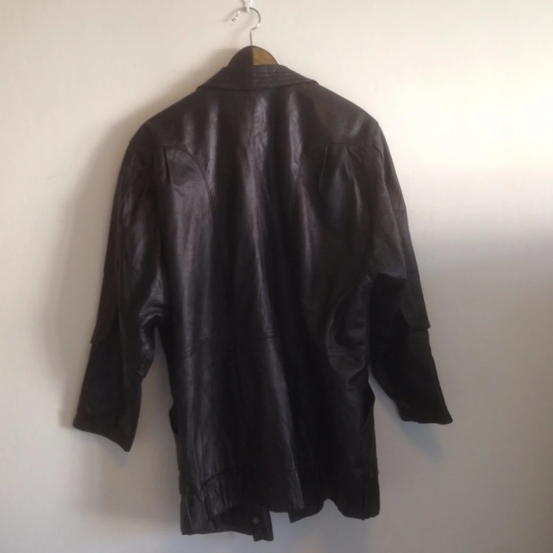 Skinnjacka från myrornas, stor i storlek.