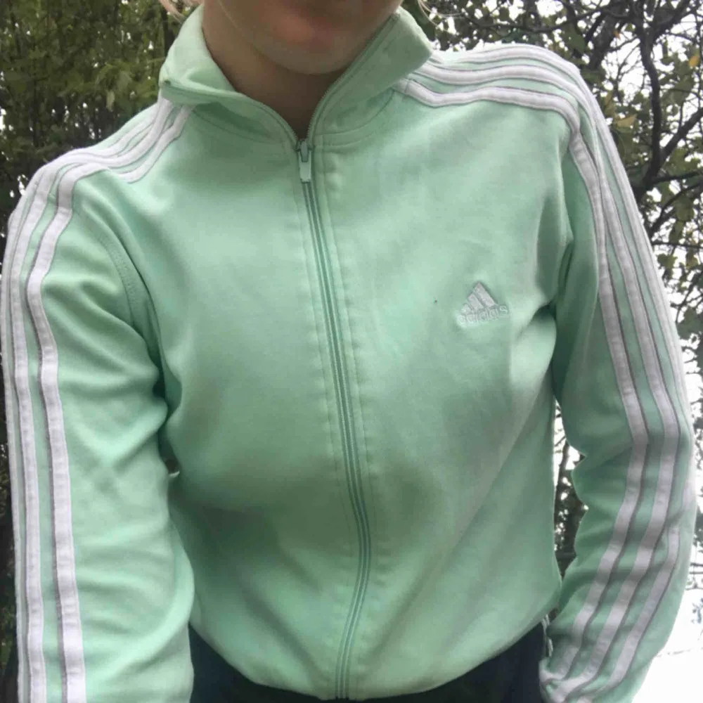 Mintgrön retro adidas tröja. Felfri, Stl: S.  💘postar endast varor och köparen står för frakten :)💘. Hoodies.