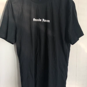 Svart t-shirt - Skitball t-shirt som är köpt på H&M. Texten på bröstet ”grande amore” och baksidan har rosor och samma text. I storleken XS. 