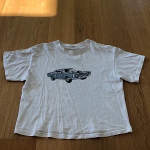 Brandy Melville t-shirt. - Superfin t-shirt från Brandy Melville. Väldigt bra skick och passar stl xs-m beroende på hur man vill att den ska sitta:)    Köparen står för frakten eller så kan jag mötas upp i nacka elr slussen. 