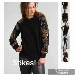  - Söker den här tröjan från madlady. Nån som säljer? 