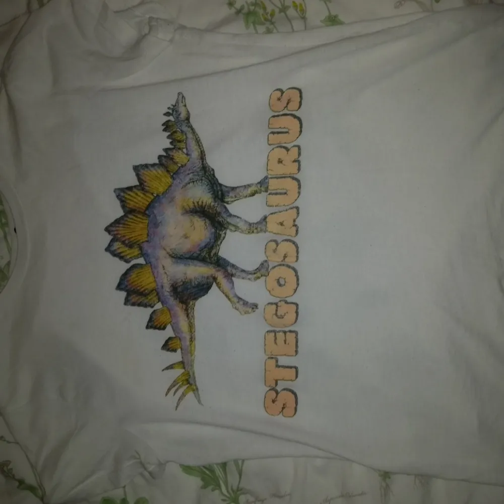 T-shirt från Bikbok med dinosaurie tryck på,använt skick men felfri,möts upp eller fraktar.. T-shirts.