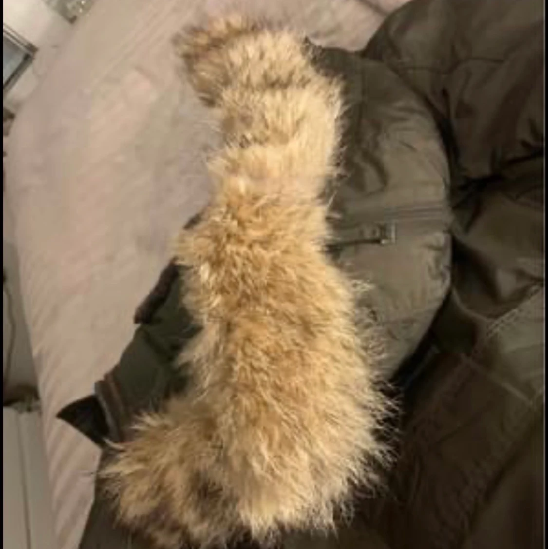 Parajumper right hand  - 91