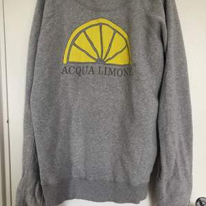 Säljer min Aqua Limone sweatshirt eftersom att den är lite för stor och inte kommer till användning. Frakt går på 60kr annars kan jag mötas upp i Malmö💕💖