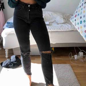 Jätte snygga jeans från Gina tricot i mycket bra skick! Väldigt liten i storleken, jag har vanligtvis 36 men i denna brallan 40 😋