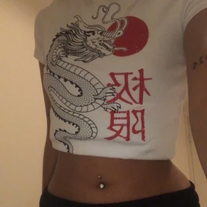 Top med drake på - Jättesöt topp som inte kommer till användning längre, hör av för fler bilder:)