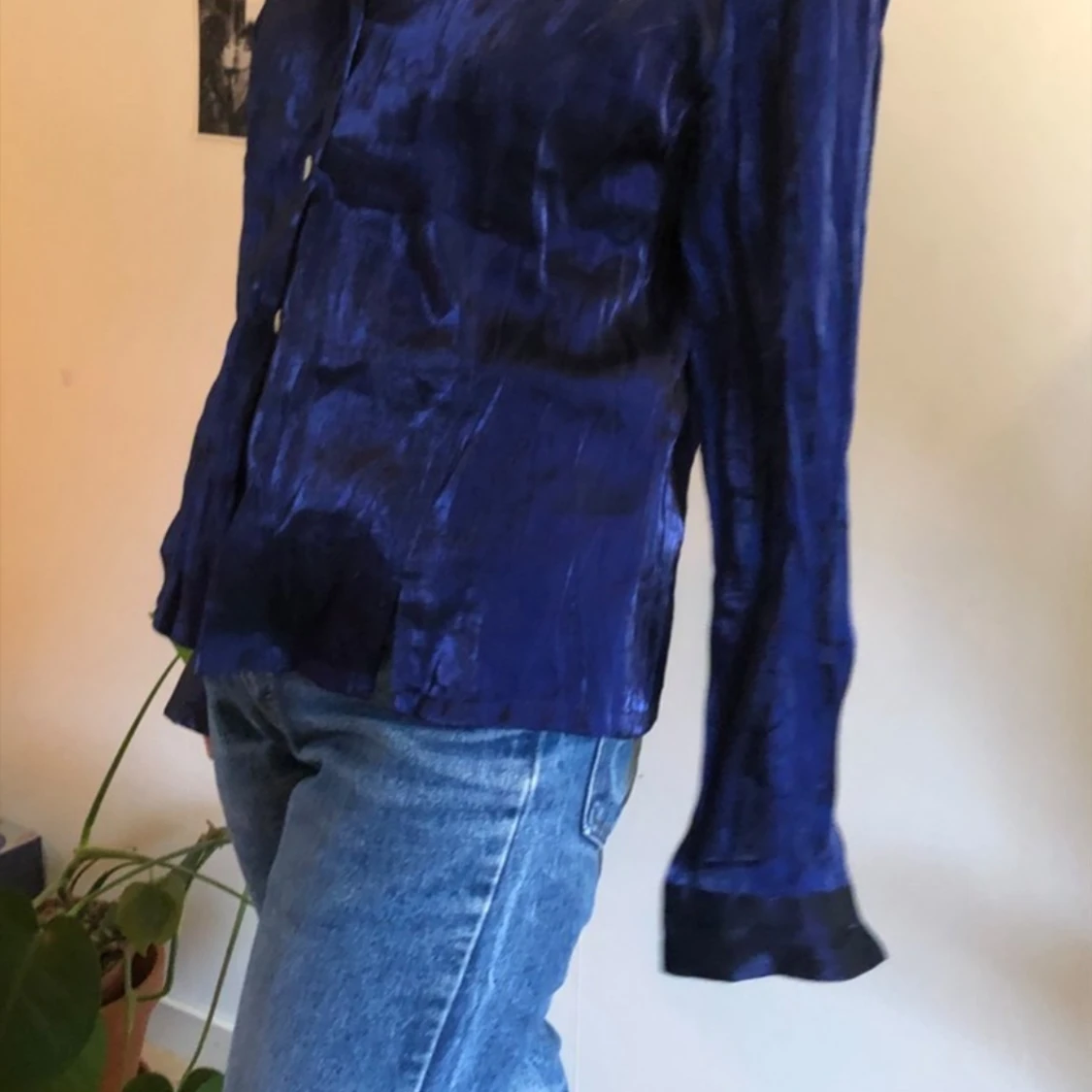 glansig Stjorta - 91