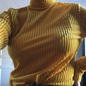  - polotröja från Monki i halvt mesh halvt velvet! bara använd 1 gång men superfin nu till hösten! köpare står för frakt!