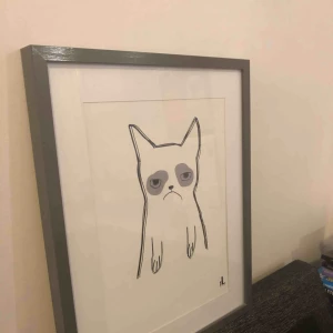  - katt affisch 40x50 