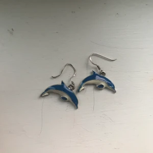 Örhängen  - Delfinörhängen 🐬🐟