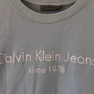 Superfin Calvin Klein tröja. Använd men i mycket gott skick. Högst bud gäller