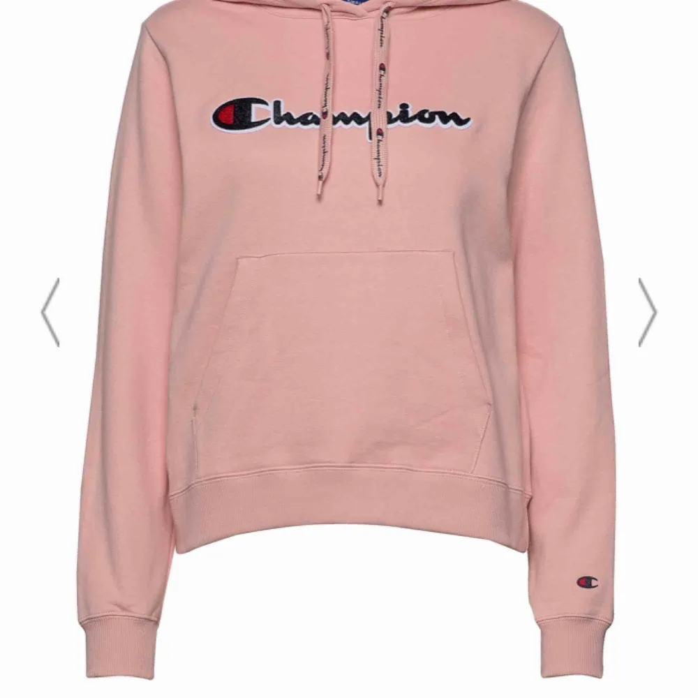 Söker billiga hoodie från Champion i bra skick  Skriv gärna om ni har sån Möts upp i Stockholm  Ingen frakt. Hoodies.