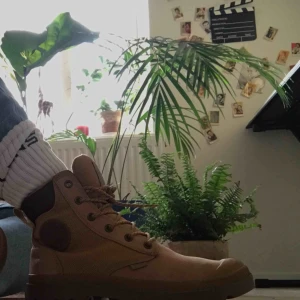  - Palladium kängor som är helt perfekta för allt (tål vatten). Använda bara några få tal gånger. Köpte dem på asos för 1200kr förra vintern. Köparen får stå för frakten