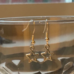 Örhängen  - Fina örhängen 🤩💖 30kr inkl frakt 