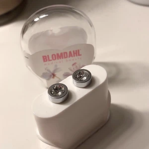 Örhängen  - Säljer helt nya örhängen från Blomfahl för bara 170 plus frakt. Skriv vid intresse. Gratis frakt.