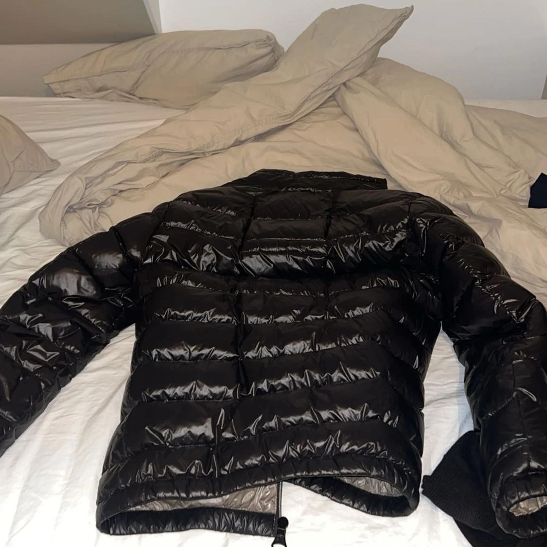 Giacomo conti jacka - 91